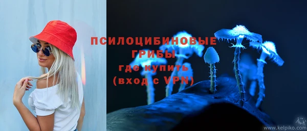 прущая мука Богородск